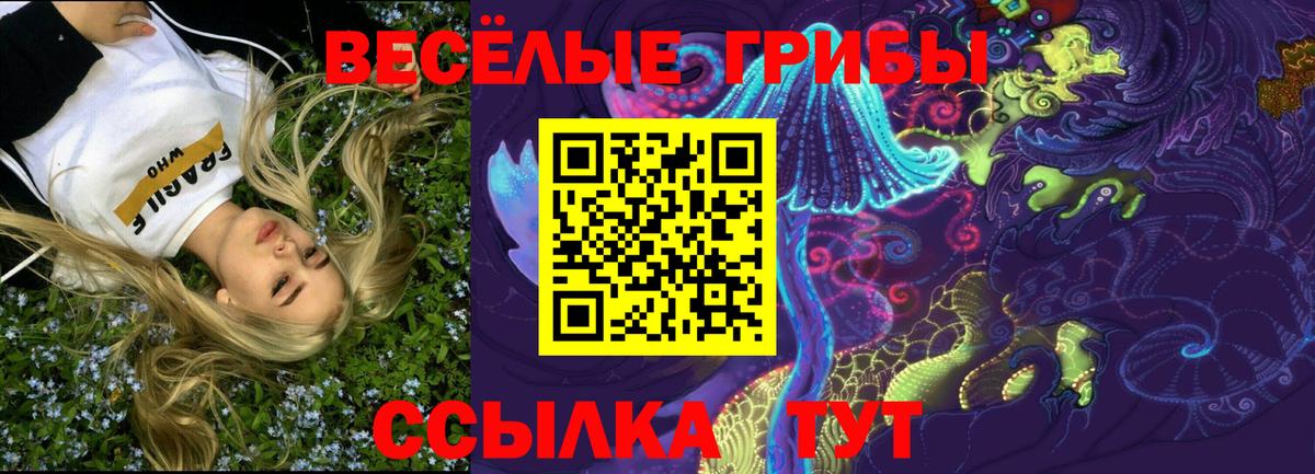 Галлюциногенные грибы Cubensis Киселёвск